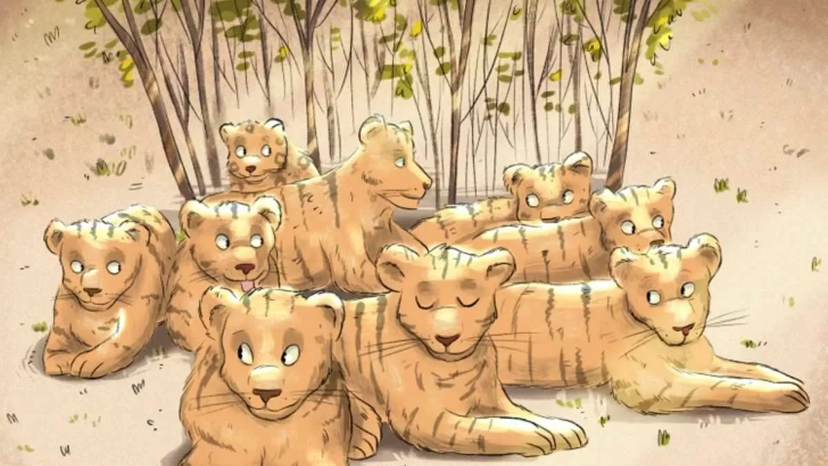 Who is not a tiger?