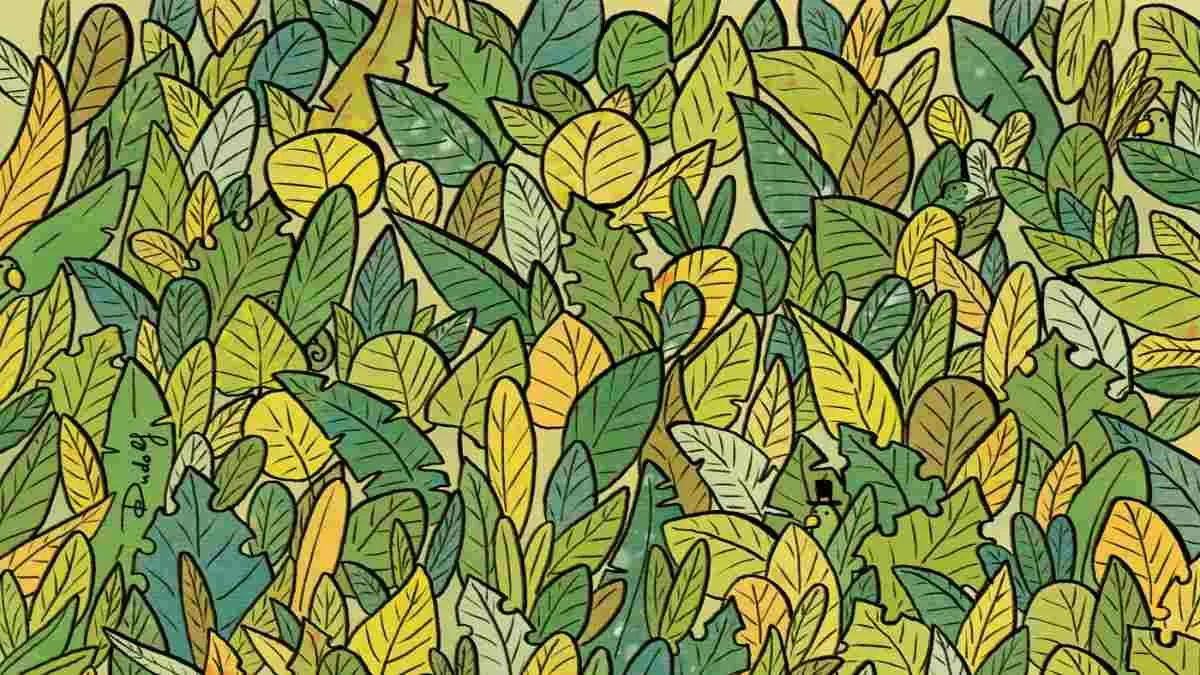 Spot 3 chameleons.
