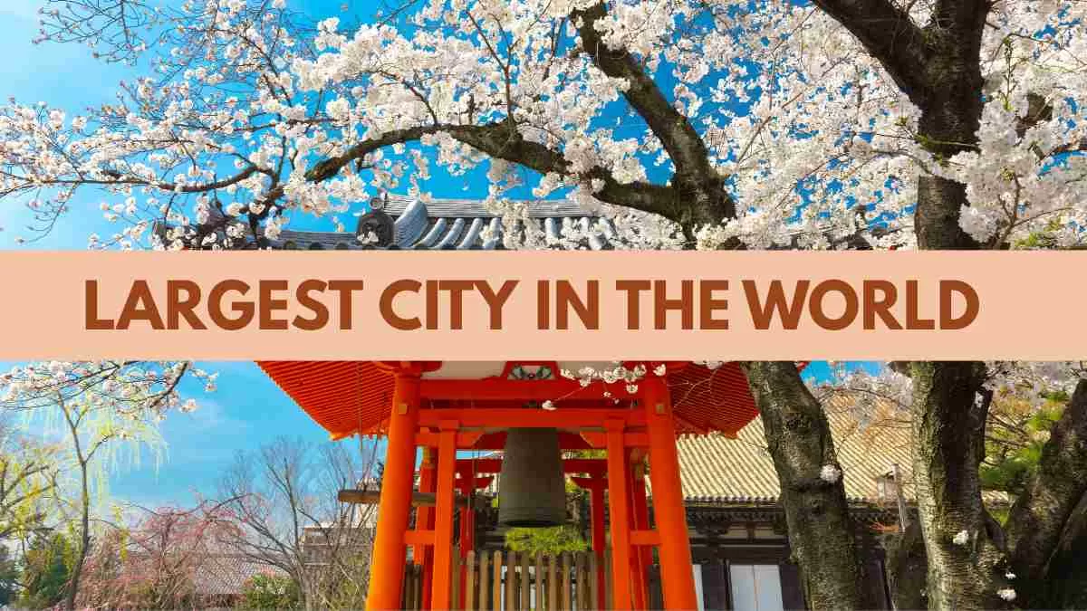 Largest City in the World