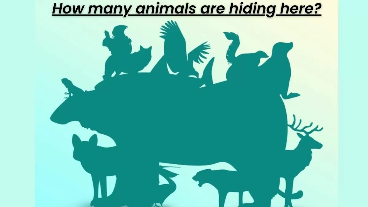 Only 1% With Eagle Vision Can Spot How Many Animals Are Hiding In The Image Just In 17 Seconds!
