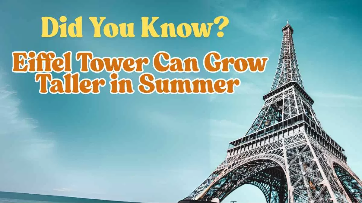 Did You Know? Eiffel Tower Can Grow Taller in Summer