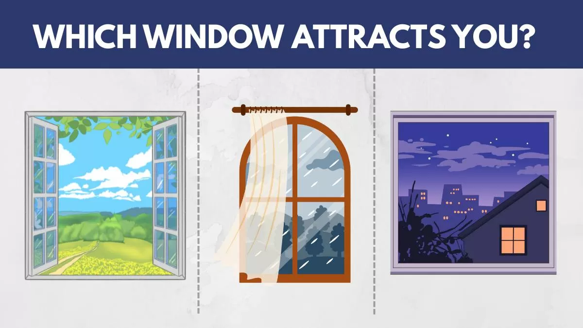 Which Window Attracts You?
