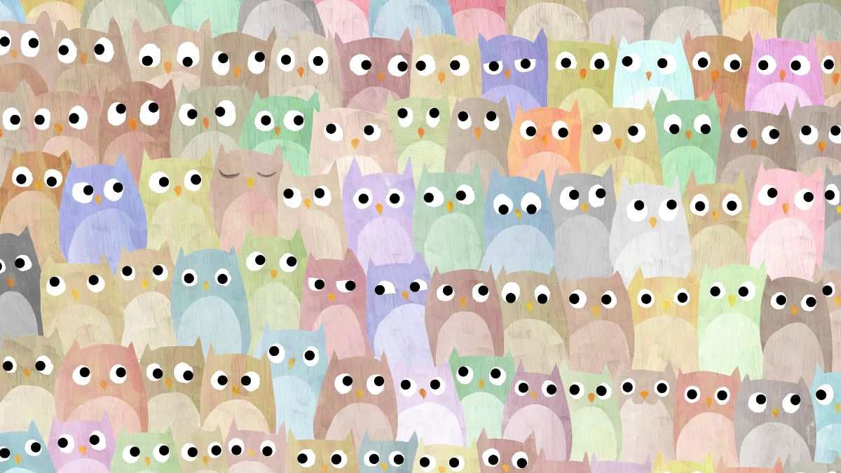 Picture Puzzle IQ Test: Can You Spot The Hidden Cat Among The Owls In 5 Seconds?
