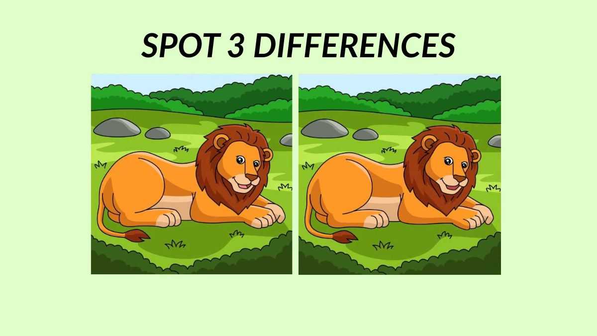 Find 3 differences between the sitting lion pictures in 19 seconds!