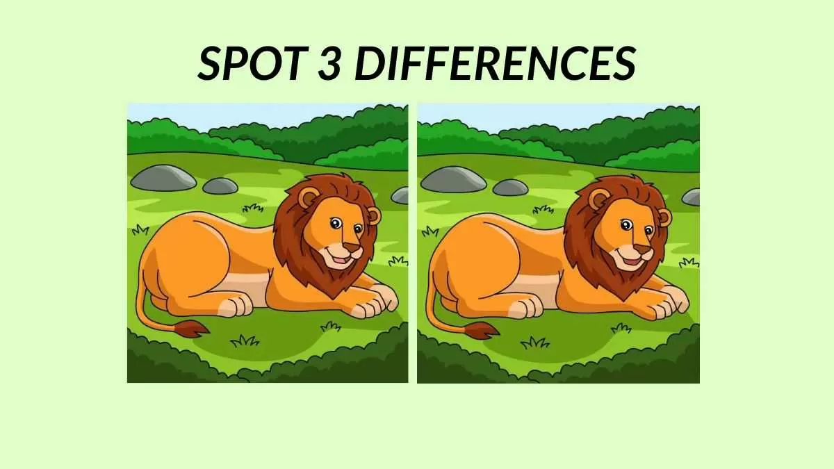 Spot 3 differences in 19 seconds