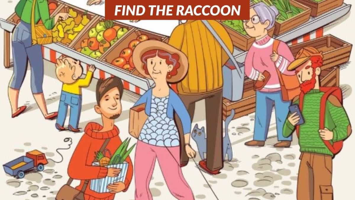 You have eagle eyes if you can find the raccoon in the market in 7 seconds!