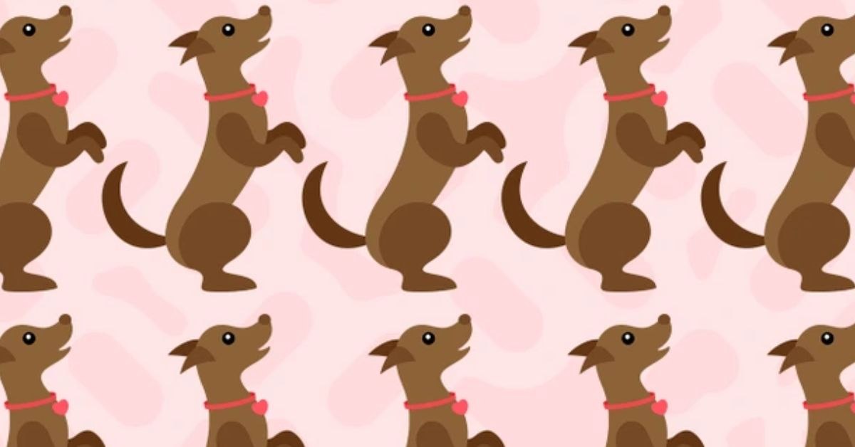Will You Become the Internet’s Next Brainmaster by Finding the Hidden Dog?