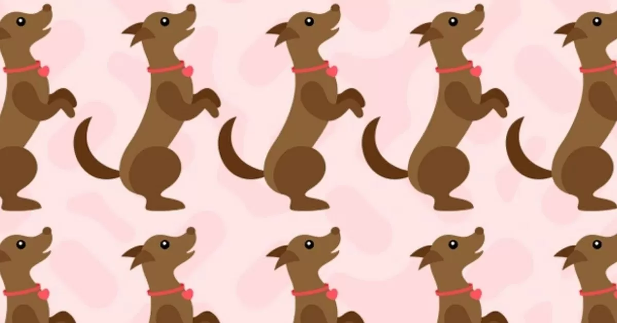 Find the Odd Dog in 7 Seconds