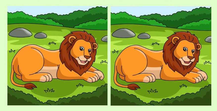 Find 3 differences between the sitting lion pictures in 19 seconds!