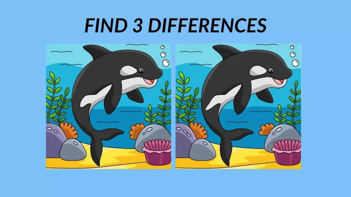 Find 3 differences