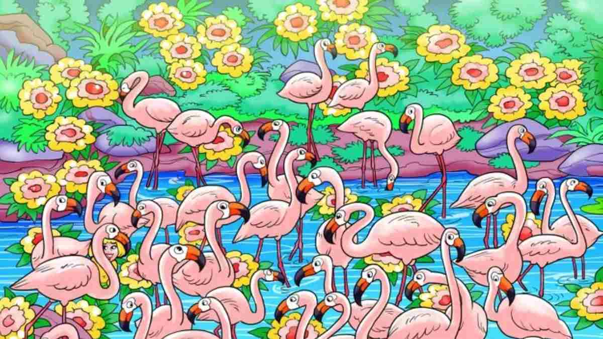 Optical Illusion IQ Test: Only People With 20/20 Focus Can Spot The Hidden Girl Among Flamingos In 5 Seconds!