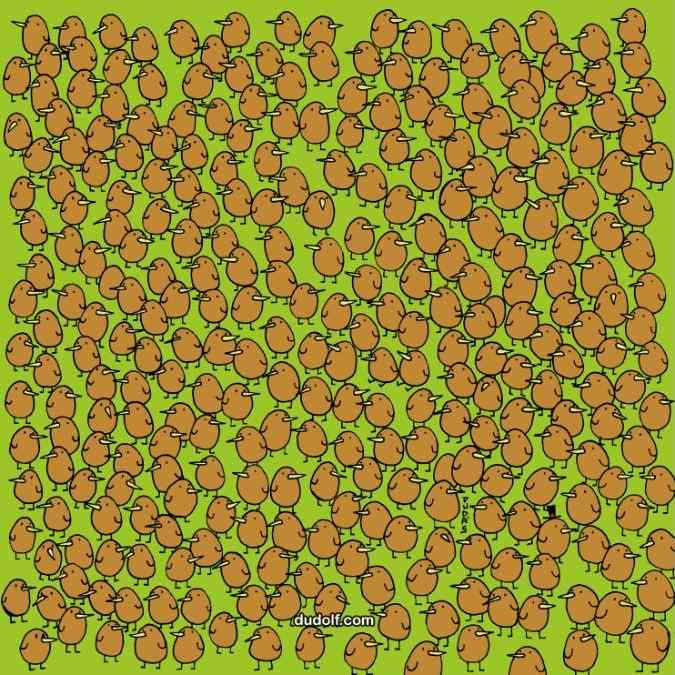 hidden picture puzzles with answers