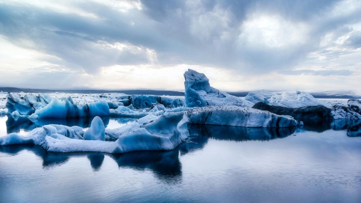 largest glacier in the world