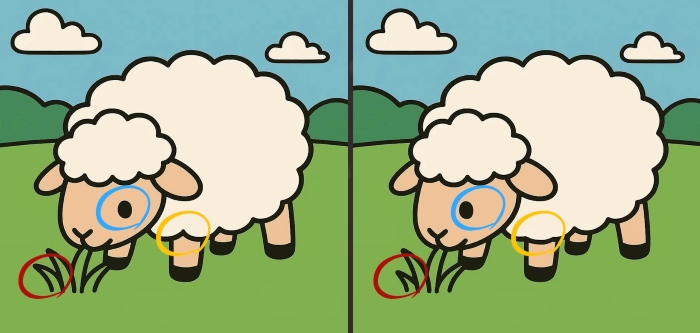 sheep-sol