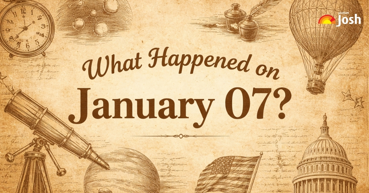 What Do You Call A Person Who Loves Cats what-do-you-call-a-person-who-loves-cats