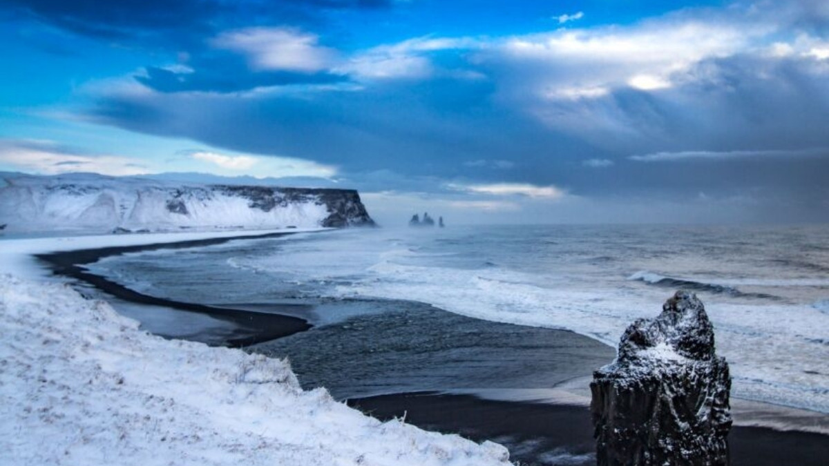 What is a Winter Beach? Check Seasonal Changes & Ecology!