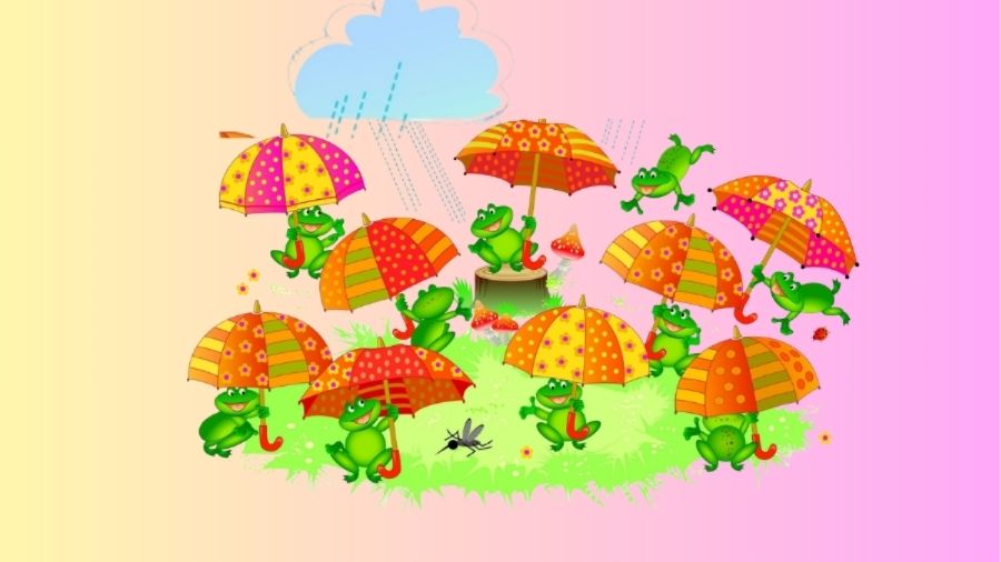 umbrella-que