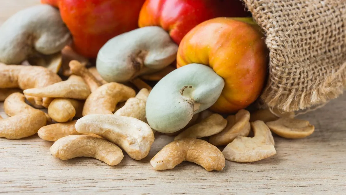 Which City Is Known as the Cashew Capital of the World?