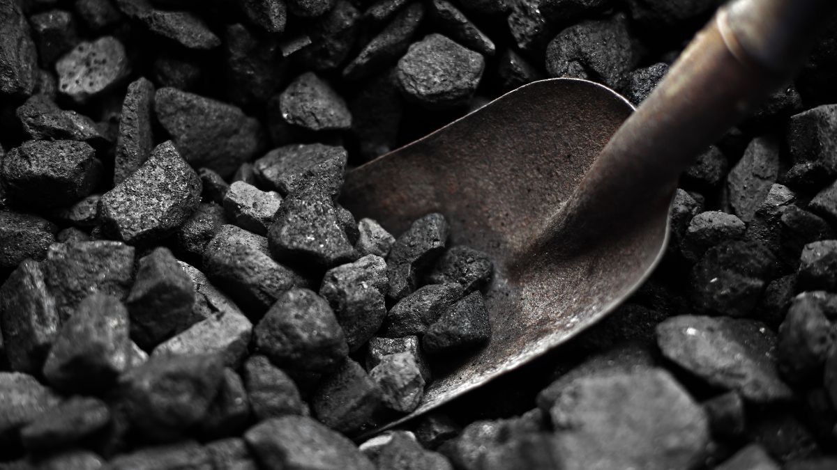 coal (1)