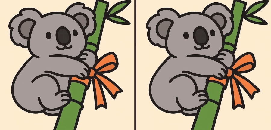koala