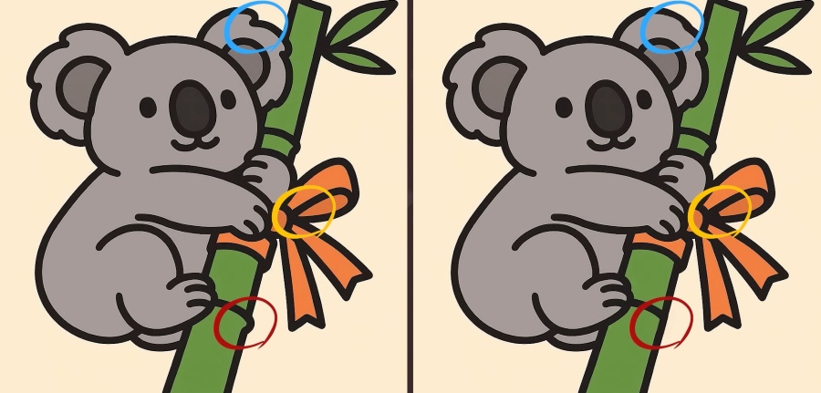 koala-sol