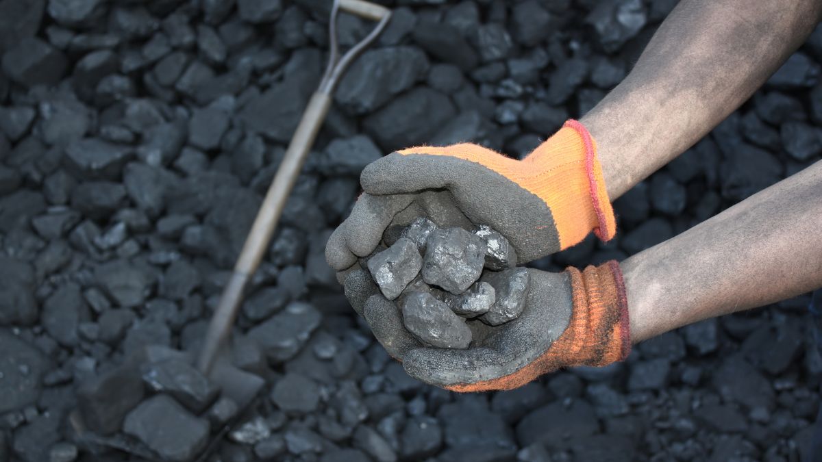 largest producer of coal
