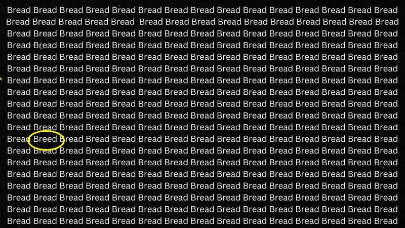 bread-sol