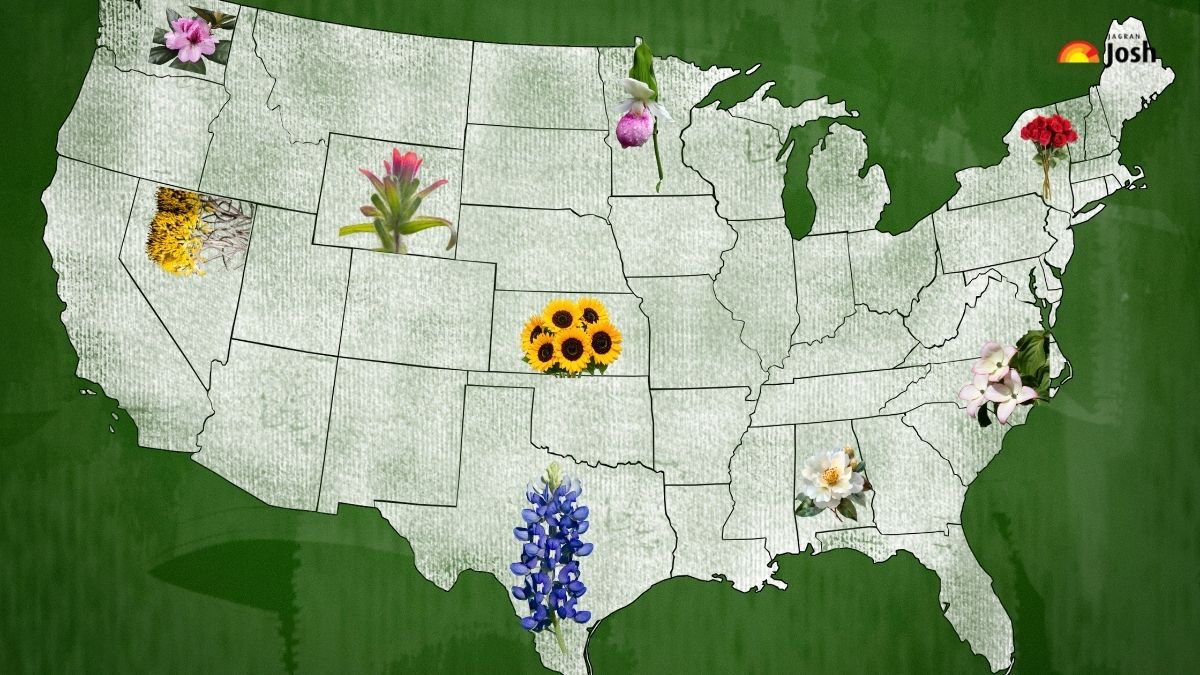 U.S. State Flowers: What is the Official Flower of Your State? Check List