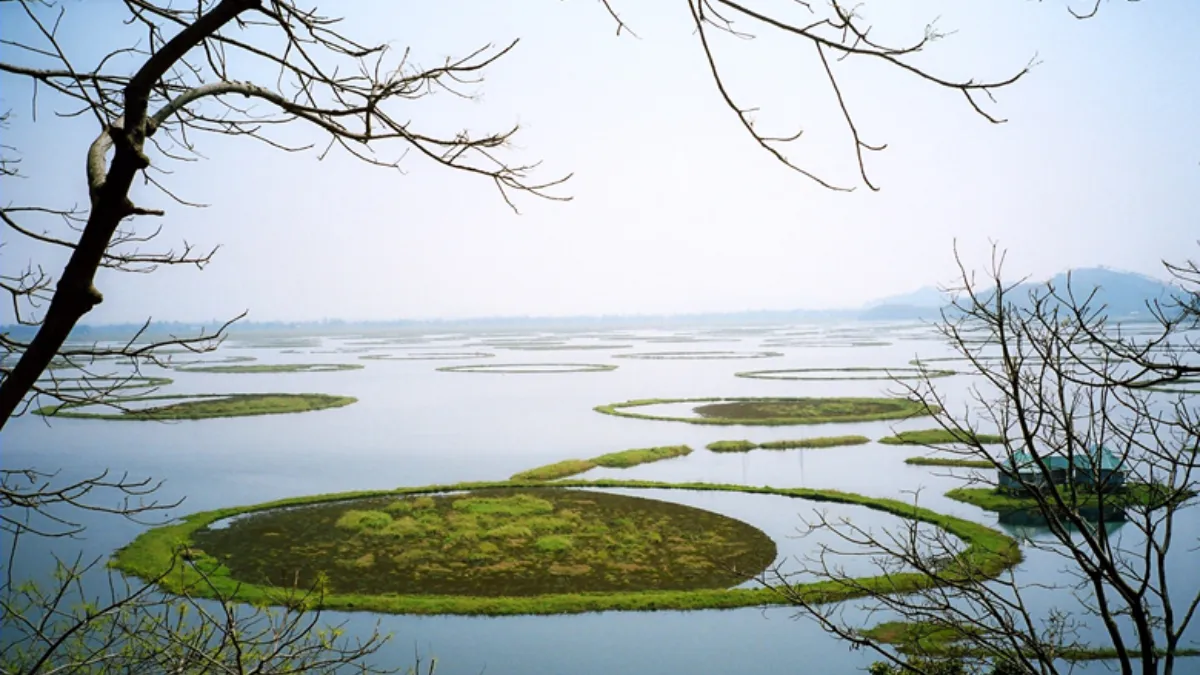 India Adds Two New Ramsar Wetlands Ahead of World Wetlands Day