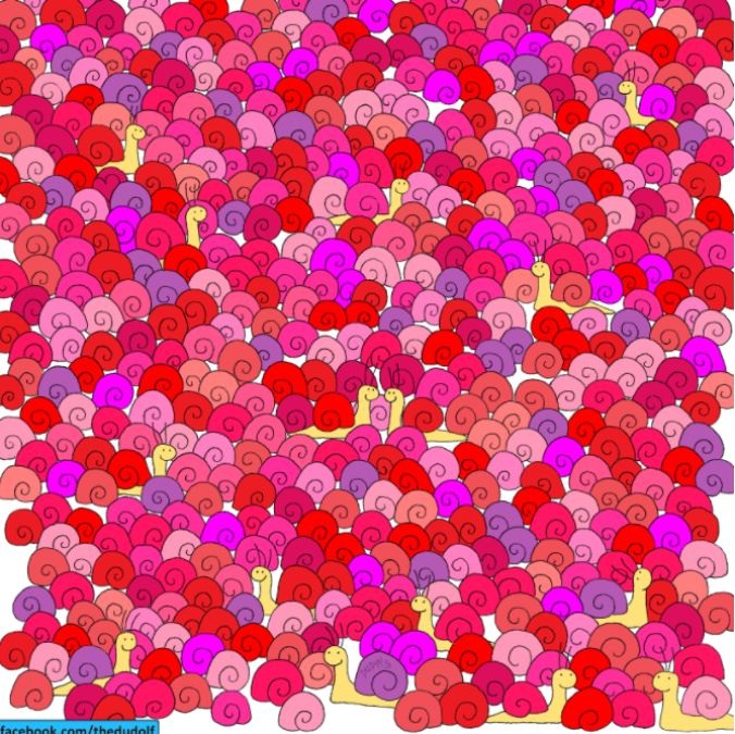 hidden-objects-picture-puzzle