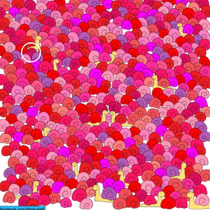 hidden-objects-picture-puzzle-answer