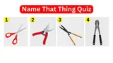 Test Your Visual Vocabulary! Can You Name These Four Cutting Tools In 20 Seconds Each?