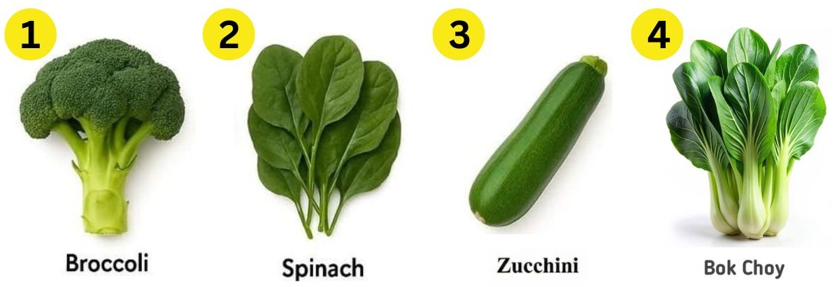 vegetables names puzzle game name-that-thing-green-vegetables-answer
