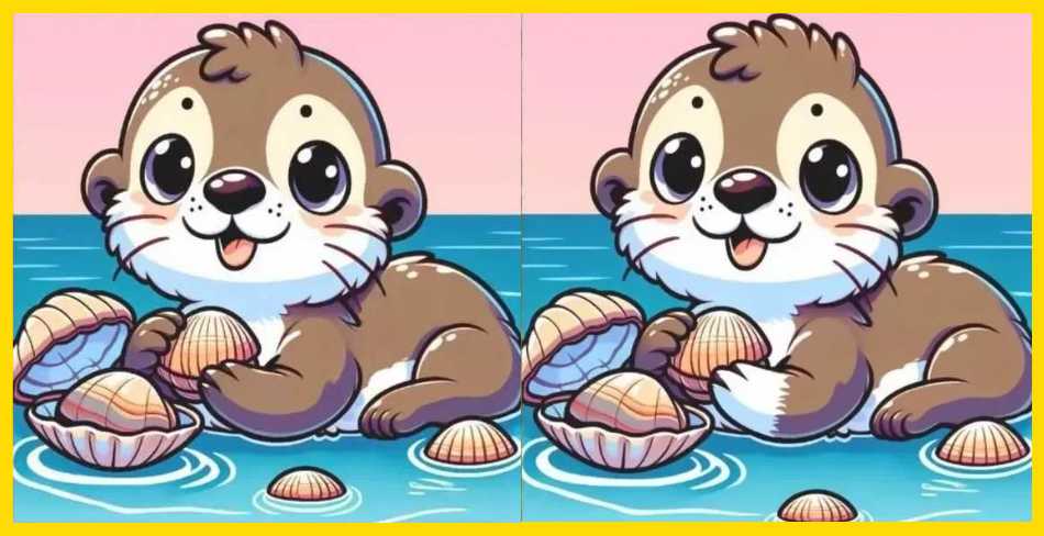 spot 3 differences otter
