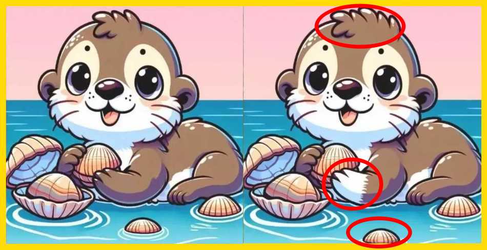 spot 3 differences otter soution