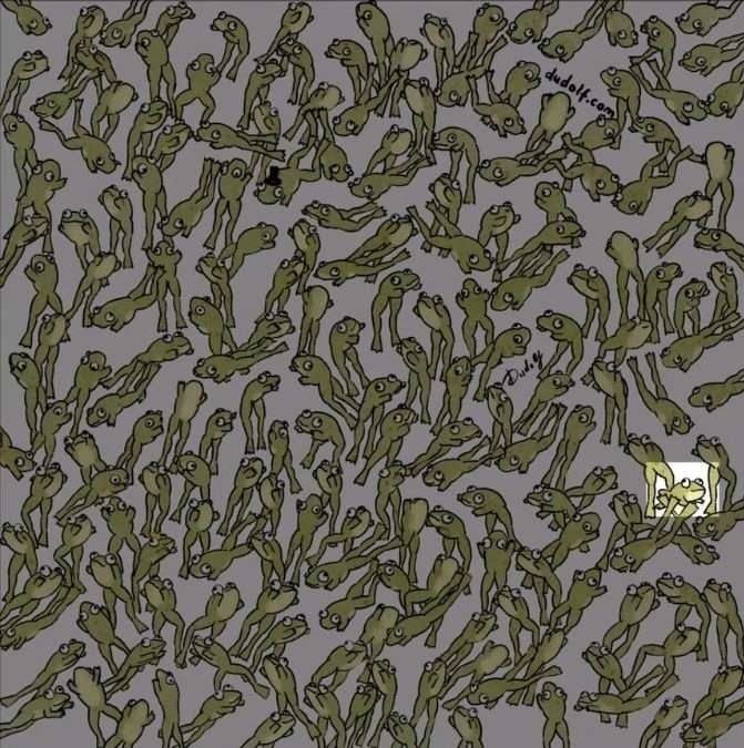 which-frog-is-not-leaping-picture-puzzles-answer