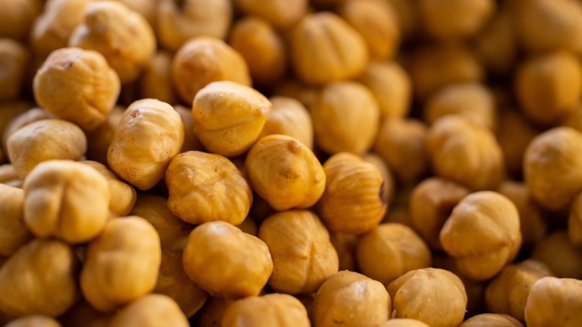 largest chickpea producer