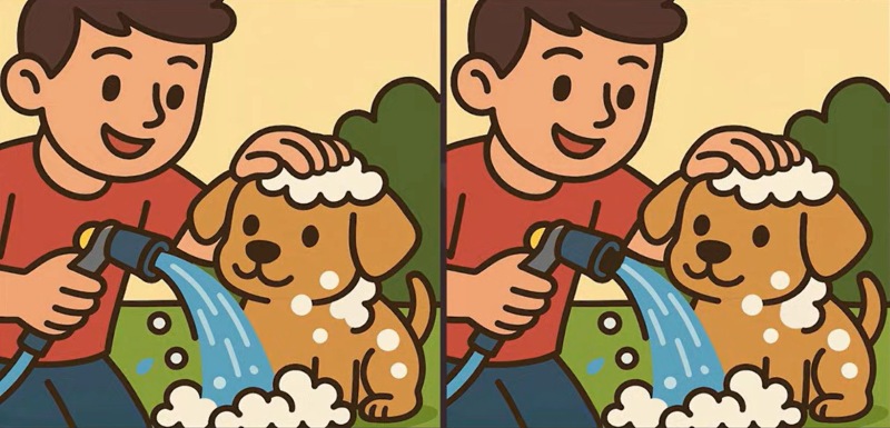 dogbath-puzzle