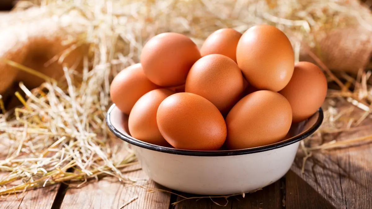 Which Country Is the Largest Producer of Eggs in the World?