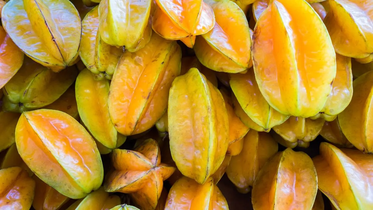 Which State Is the Largest Producer of Star Fruit in India?