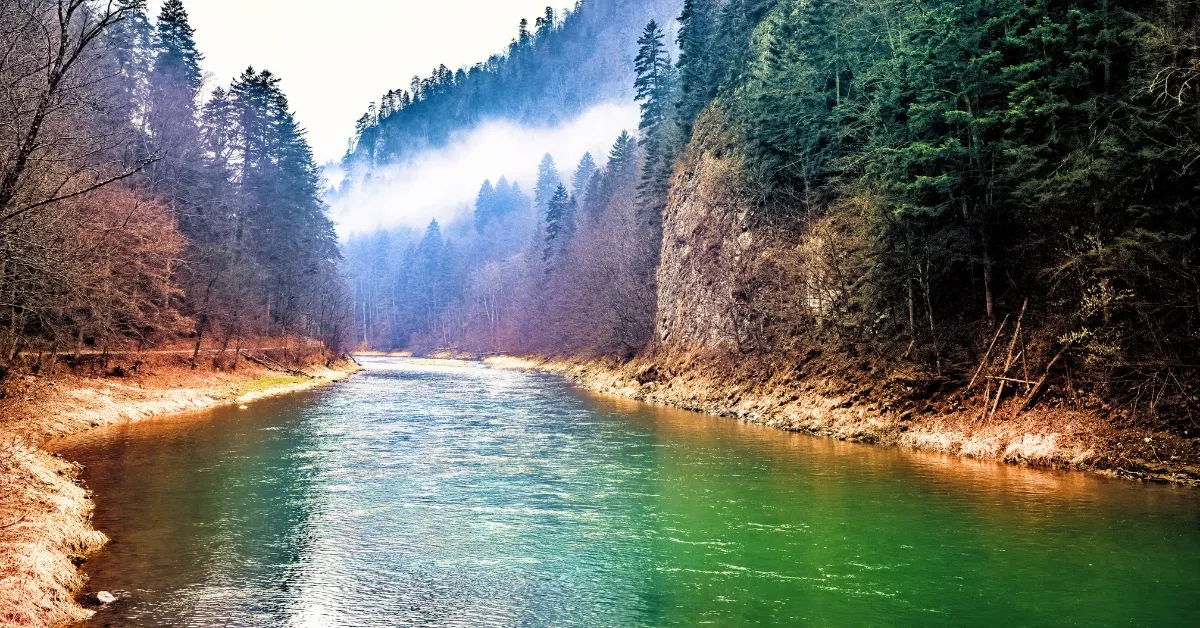 Which River Is Known As The Lifeline Of Indonesia?