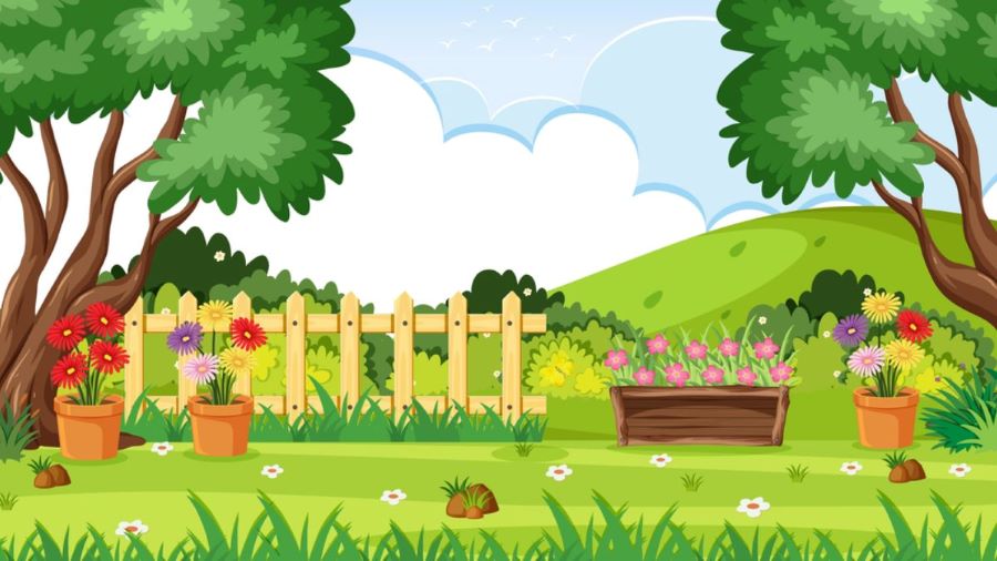 Butterfly in the Garden-can you see it