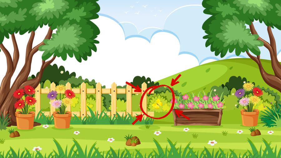 Butterfly in the Garden-can you see it-solution