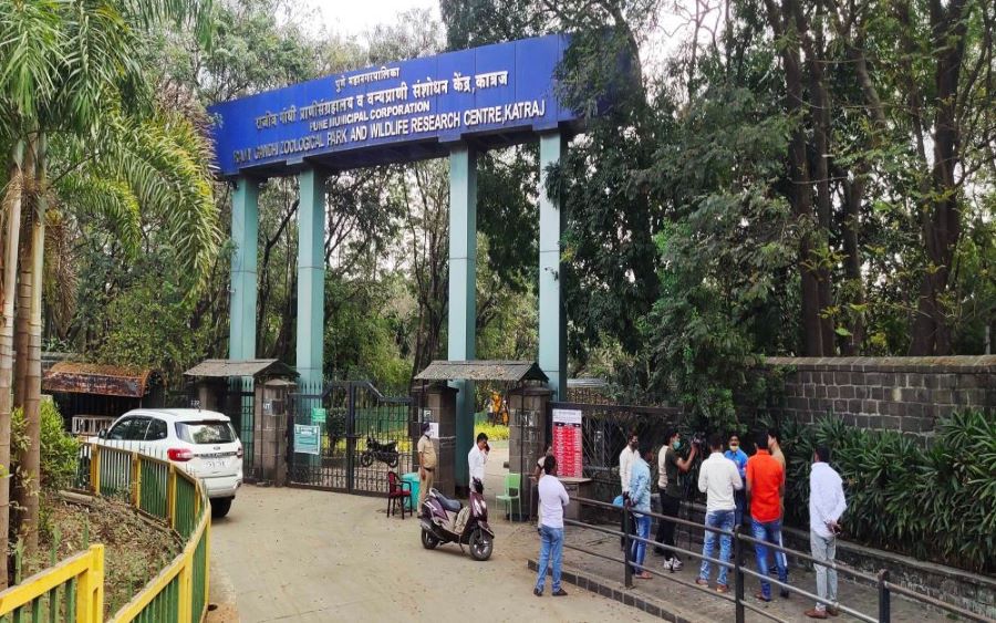 rajiv-gandhi-zoological-park-in-maharashtra-1