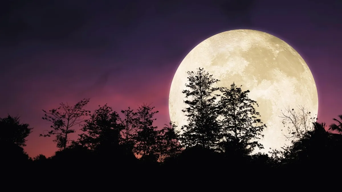 Temoon Why Does the Moon Look Bigger Sometimes?