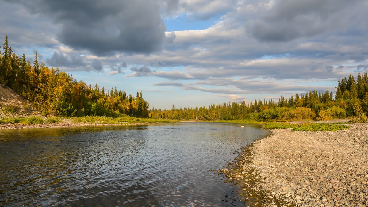 kosi river