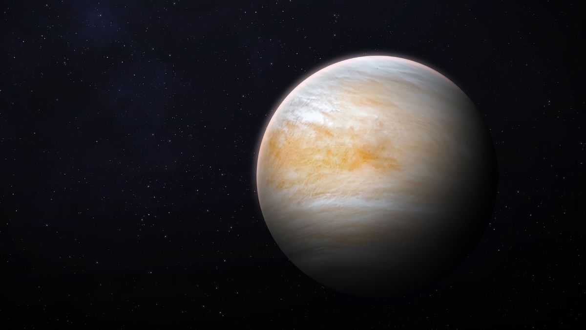 Venus - Plant with Longest Day