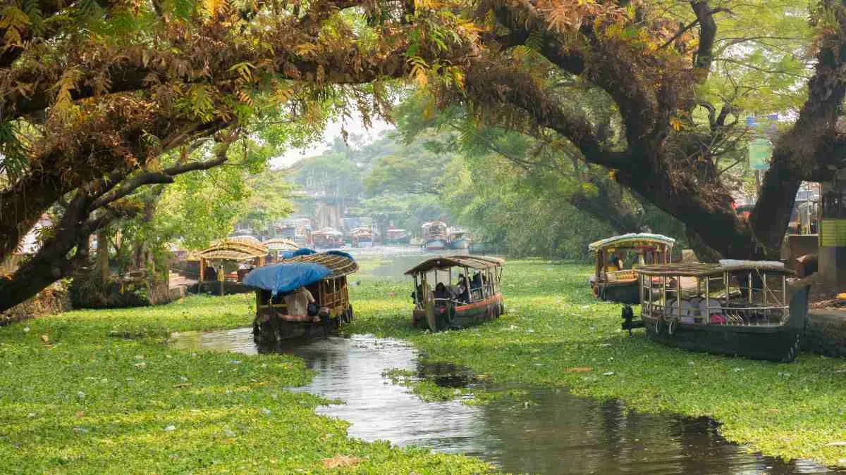 Which State has the Most Backwaters in India?