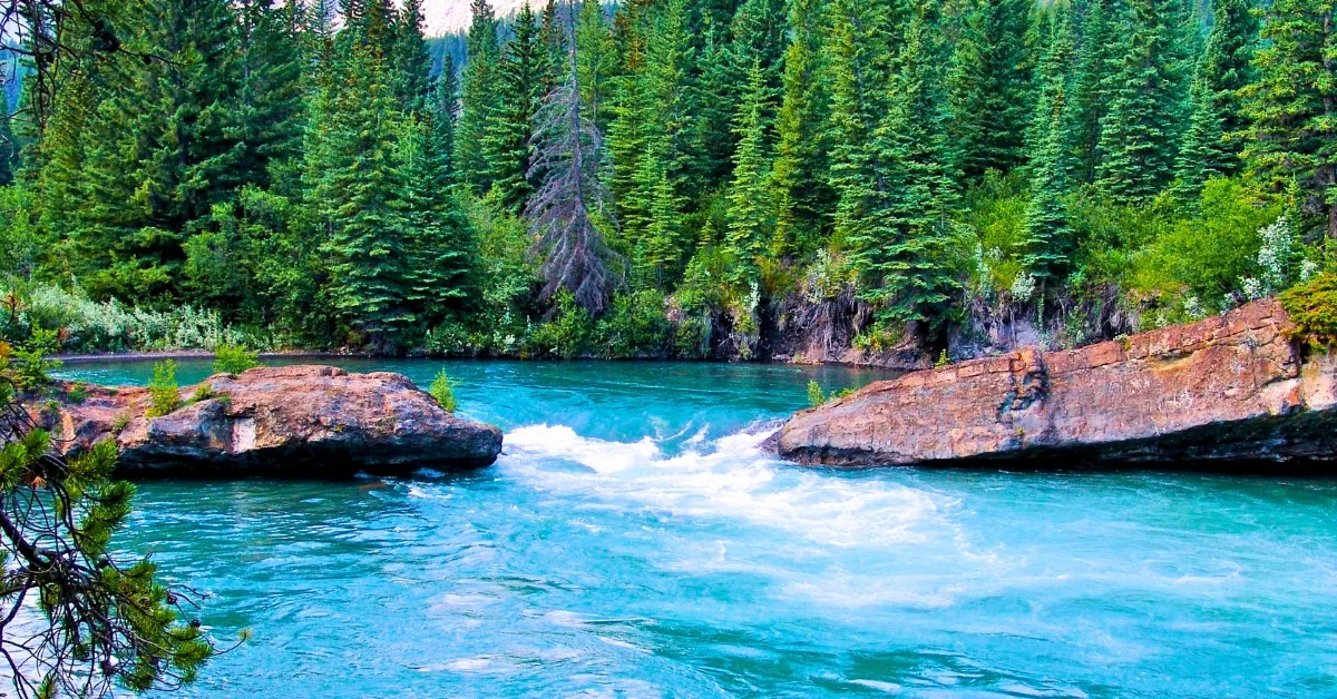 Which River Is Known As The Lifeline Of Malaysia?