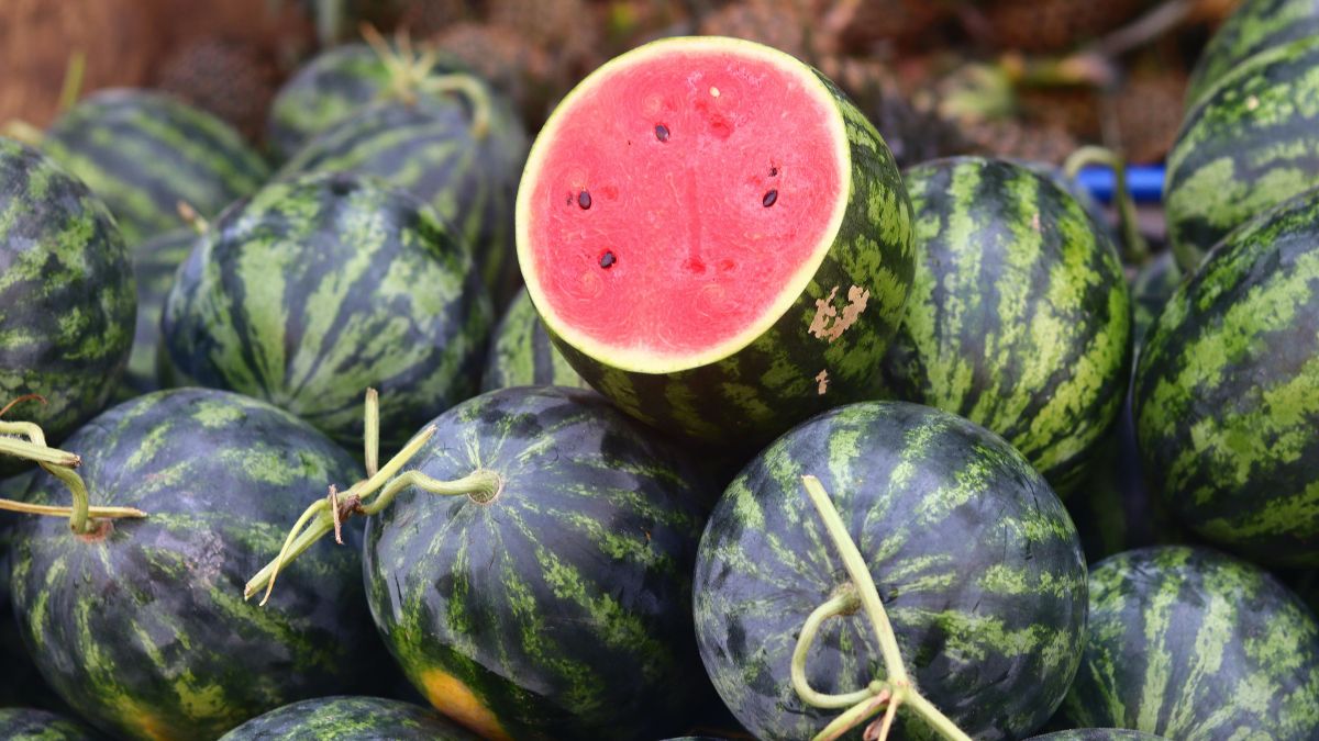 which fruit has 95 water